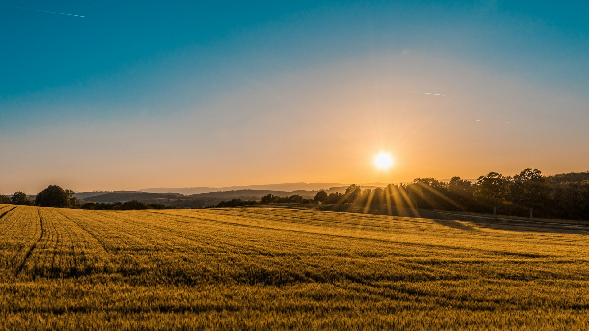 Breton field at sunset