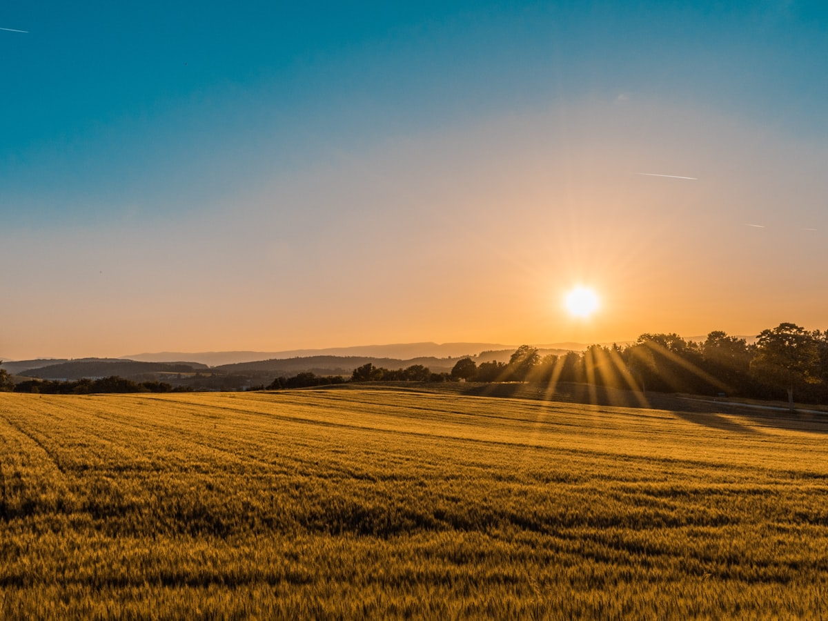 Brittany landscape